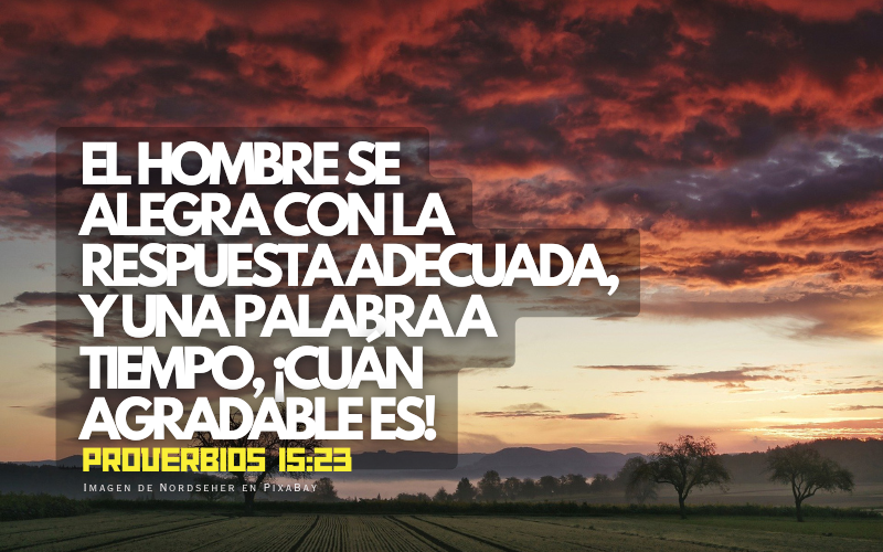 El hombre se alegra con la respuesta adecuada, Y una palabra a tiempo, ¡cuán agradable es!.png