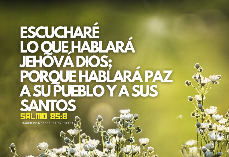 Escucharé lo que hablará Jehová Dios; Porque hablará paz a su pueblo y a sus santos.png