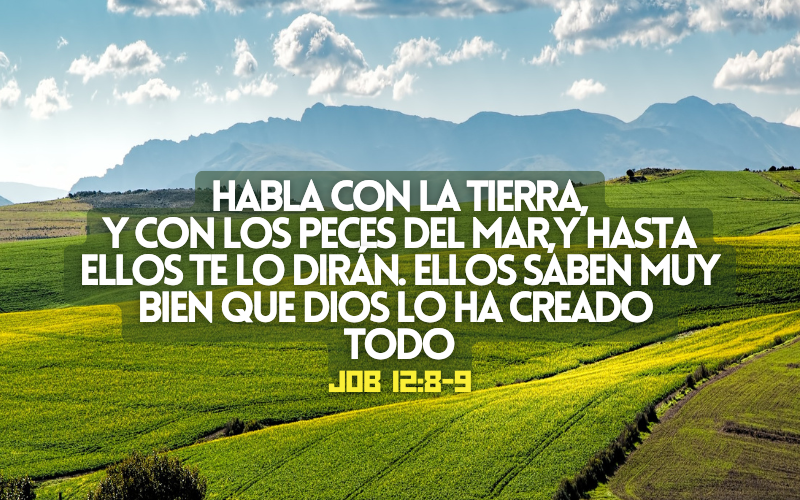 Habla con la tierra, y con los peces del mar, y hasta ellos te lo dirán. 9Ellos saben muy bien que Dios lo ha creado todo..png