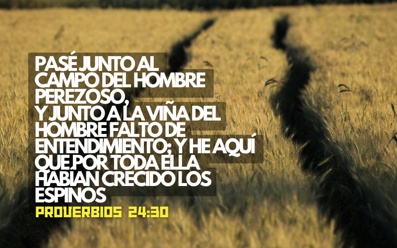 Pasé por el campo del hombre perezoso.png