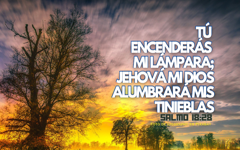 Tú encenderás mi lámpara; Jehová mi Dios alumbrará mis tinieblas. (800 x 500 px).png