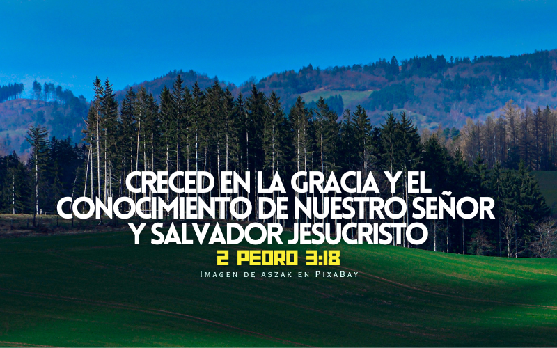creced en la gracia y el conocimiento de nuestro Señor y Salvador Jesucristo.png
