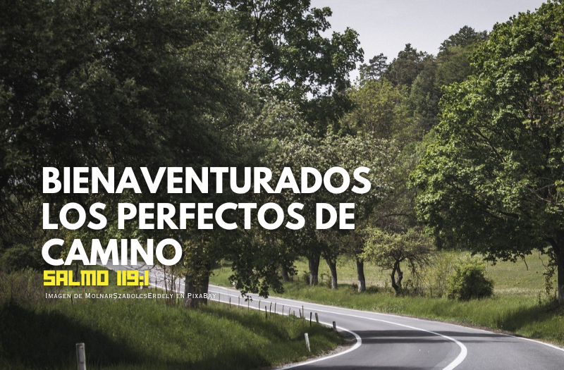 Bienaventurados los perfectos de camino.png