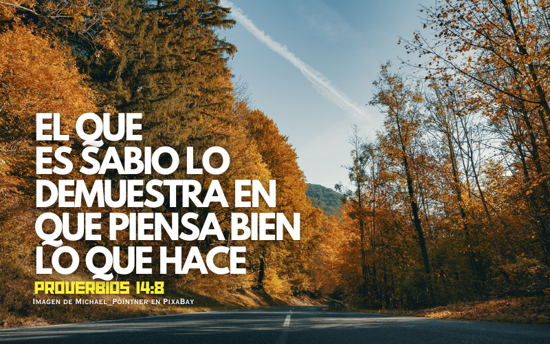 El que es sabio lo demuestra en que piensa bien lo que haceEl que es sabio lo demuestra en que piensa bien lo que hace.png