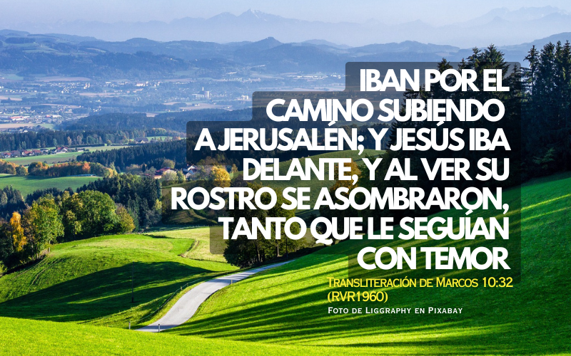 Iban por el  camino subiendo  a Jerusalén; y Jesús iba delante, y al ver Su Rostro se asombraron, tanto que le seguían con temor.png