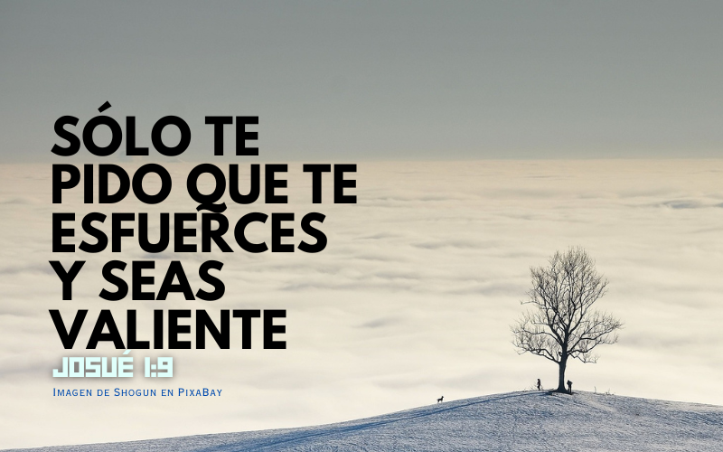 Sólo te pido que te esfuerces y seas valiente.png