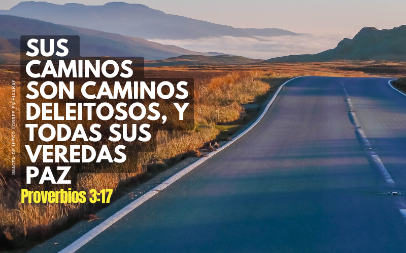 Sus caminos son caminos deleitosos, Y todas sus veredas paz - 2026.png