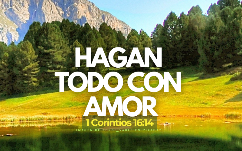 hagan todo con amor (1).png