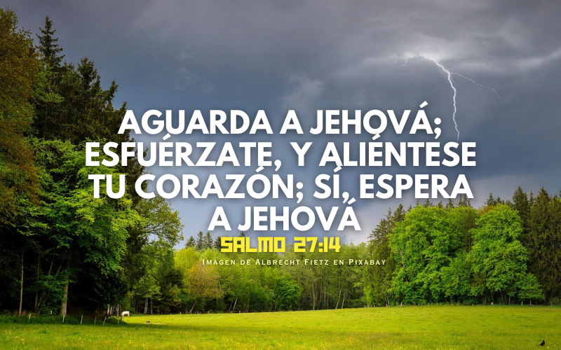 Aguarda a Jehová; Esfuérzate, y aliéntese tu corazón; Sí, espera a Jehová. (800 x 500 px).png