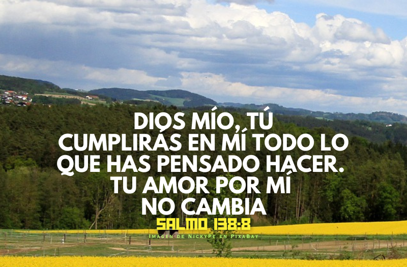 Dios mío, tú  cumplirás en mí todo lo  que has pensado hacer.  Tu amor por mí  no cambia.png