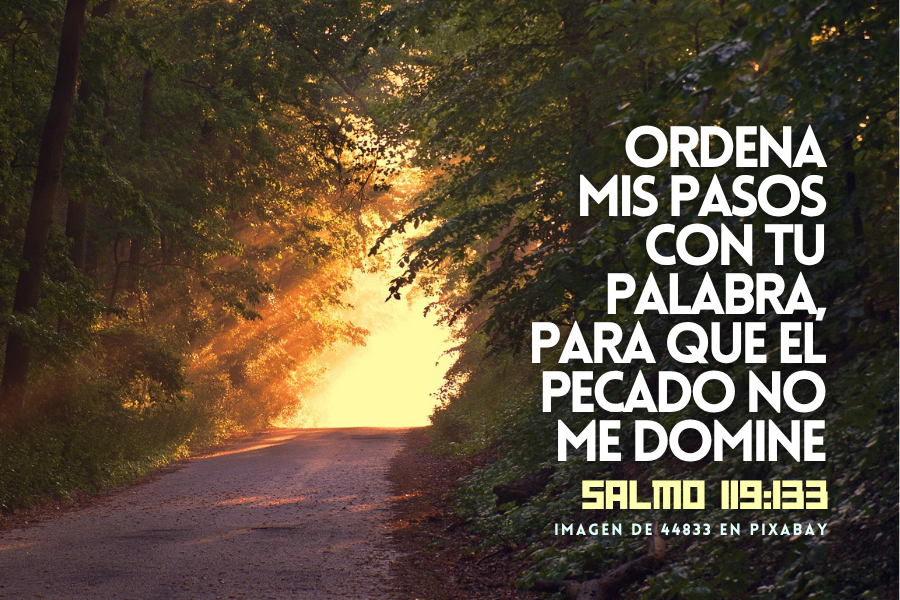 Ordena mis pasos con tu palabra, para que el pecado no me domine.png