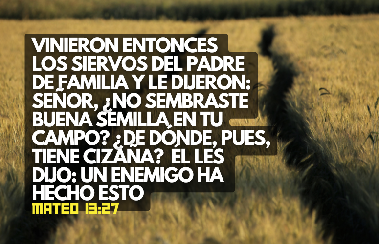 Vinieron entonces los siervos del padre de familia y le dijeron Señor, ¿no sembraste buena semilla en tu campo ¿De dónde, pues, tiene cizaña Él les dijo Un enemigo ha hecho esto..png