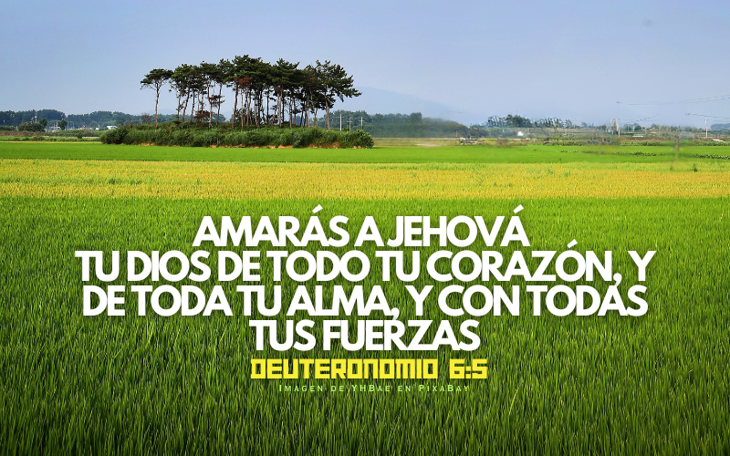 amarás a Jehová  tu Dios de todo tu corazón, y de toda tu alma, y con todas tus fuerzas.png