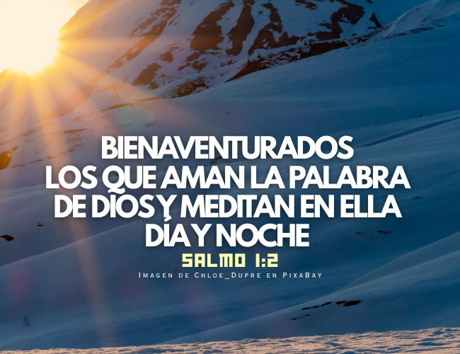 bienaventurados los que aman la Palabra de dios y meditan en ella día y noche - 2026.png