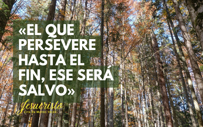 El que persevere hasta el fin, ese será salvo. (800 x 500 px).png