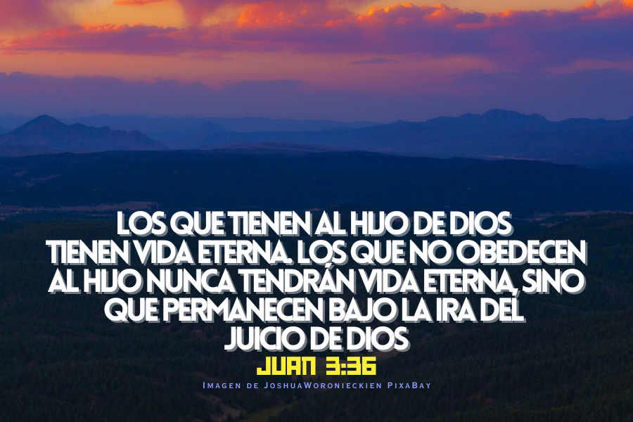 Los que tienen al Hijo de Dios tienen vida eterna. Los que no obedecen al Hijo nunca tendrán vida eterna, sino que permanecen bajo la ira del juicio de Dios..png