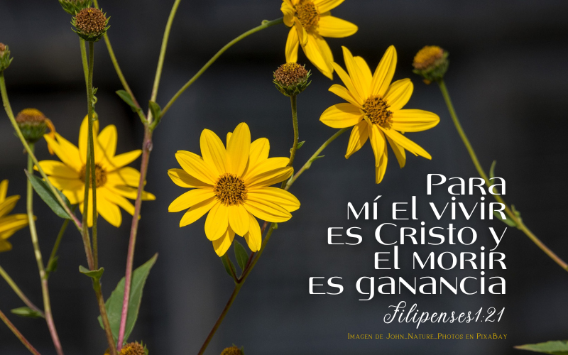 Para mí el vivir es Cristo y el morir es ganancia.png