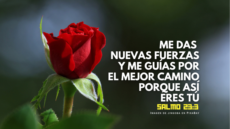Me das nuevas fuerzasy me guías por el mejor camino, porque así eres tú (800 x 450 px).png