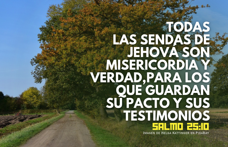 Todas las sendas de Jehová son misericordia y verdad, Para los que guardan su pacto y sus testimonios..png
