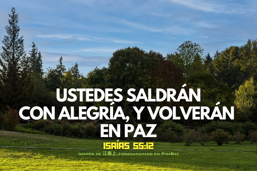 Ustedes saldrán con alegría, y volverán en paz 2026.png