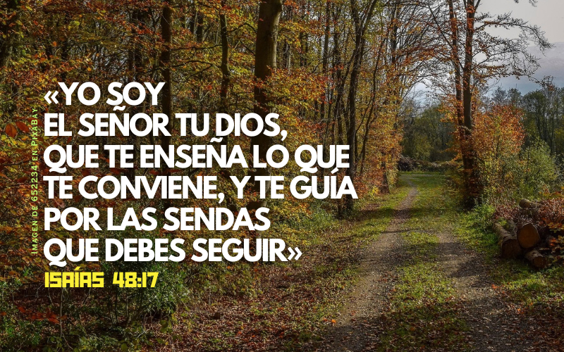 «Yo soy el Señor tu Dios, que te enseña lo que te conviene y te guía por las sendas que debes seguir..png