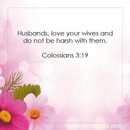Colossians-3-19-NIV-verse-of-the-day - Imagen Verse of the day