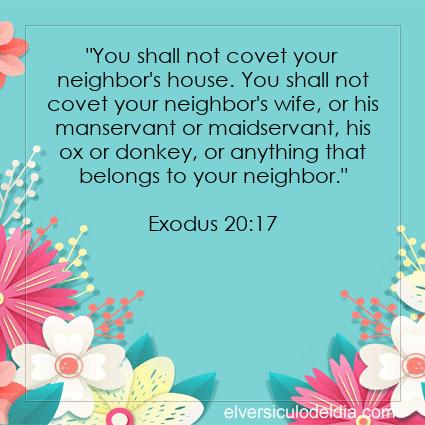 Exodus-20-17-NIV-verse-of-the-day - Imagen Verse of the day