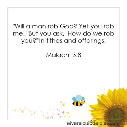Malachi-3-8-NIV-verse-of-the-day - Imagen Verse of the day
