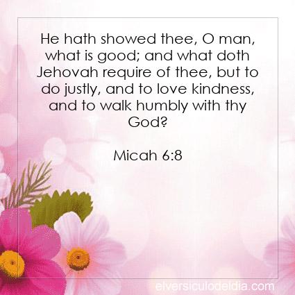 Micah 6:8 ASV - Image Verse of the Day