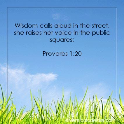 Proverbs 1:20 NIV - Image Verse of the Day