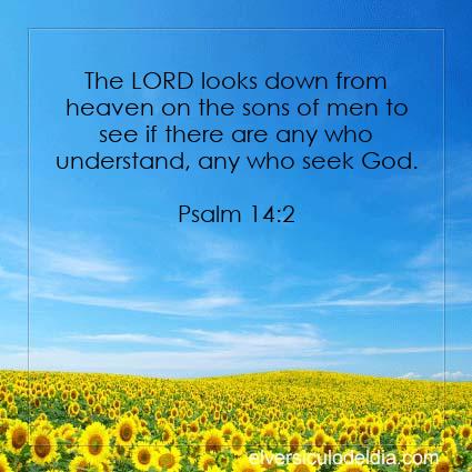 Psalm-14-2-NIV-verse-of-the-day - Imagen Verse of the day