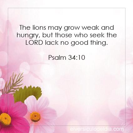 Psalm-34-10-NIV-verse-of-the-day - Imagen Verse of the day