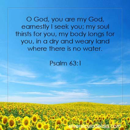 Psalm-63-1-NIV-verse-of-the-day - Imagen Verse of the day