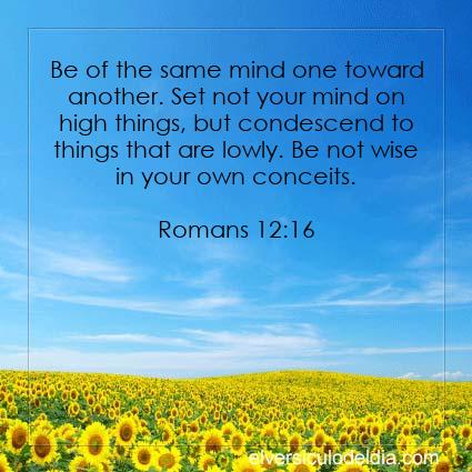 Romans 12:16 ASV - Image Verse of the Day