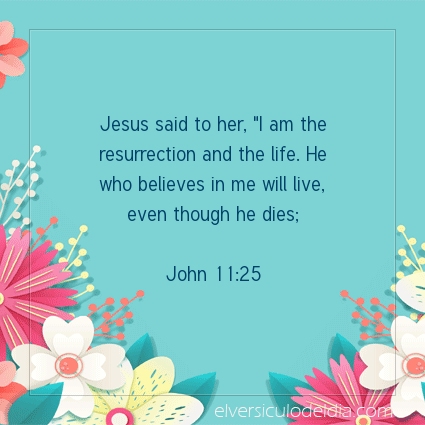 Image The verse of the day John 11:25