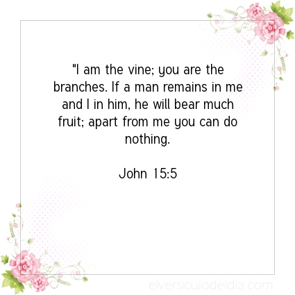 Image The verse of the day John 15:5