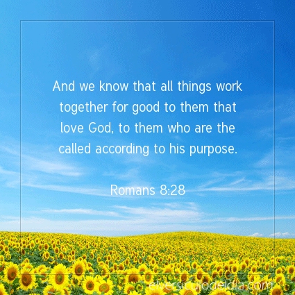 Image The verse of the day Romans 8:28