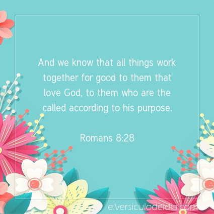Image The verse of the day Romans 8:28