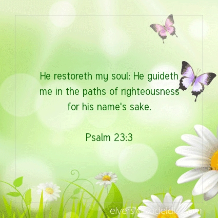 Image The verse of the day Psalm 23:3