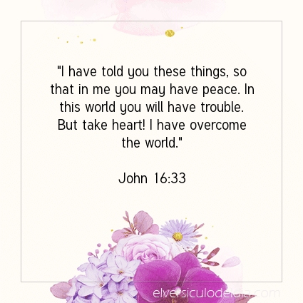 Image The verse of the day John 16:33
