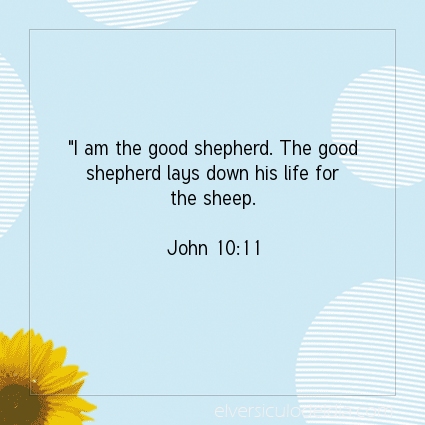 Image The verse of the day John 10:11