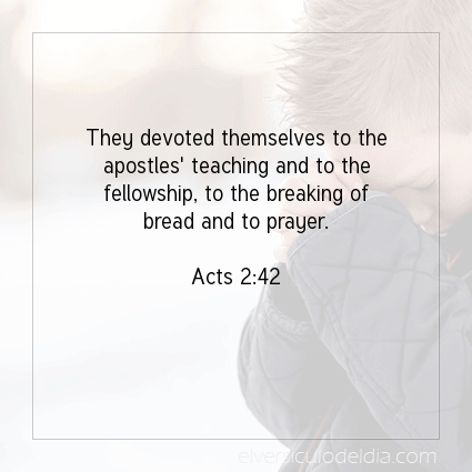 Image The verse of the day Acts 2:42