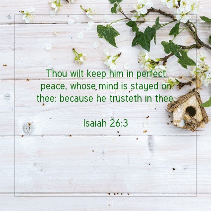 Image The verse of the day Isaiah 26:3