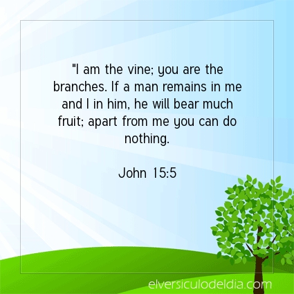 Image The verse of the day John 15:5