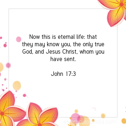 Image The verse of the day John 17:3