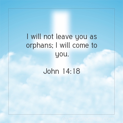 Image The verse of the day John 14:18