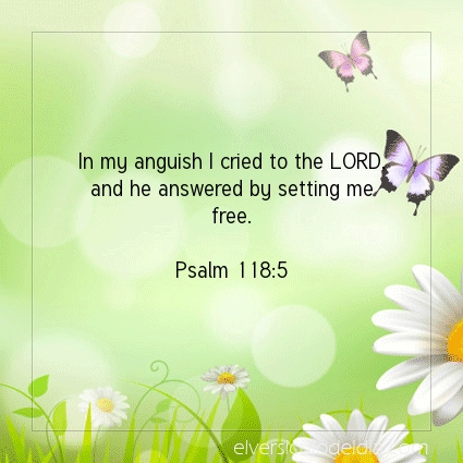 Image The verse of the day Psalm 118:5