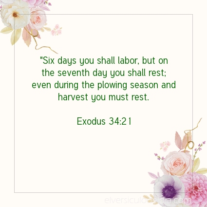 Image The verse of the day Exodus 34:21