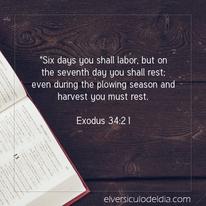 Image The verse of the day Exodus 34:21
