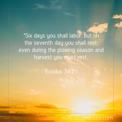 Image The verse of the day Exodus 34:21